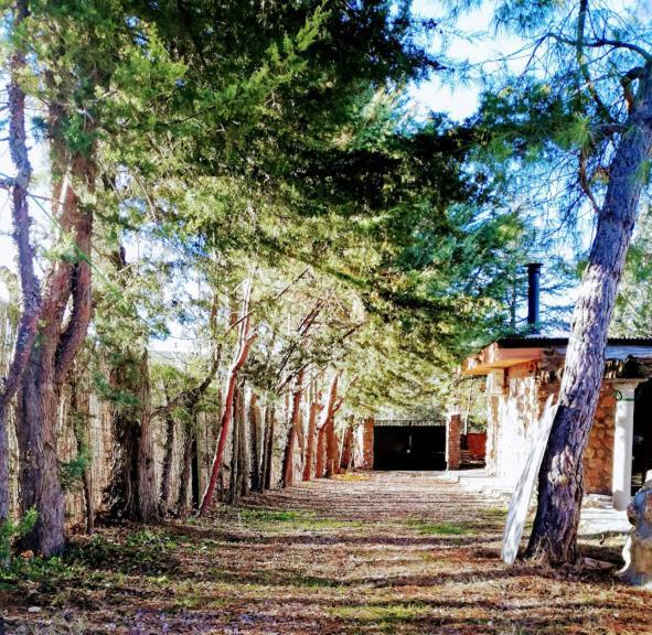 La Cabana De Piedra Руидера Экстерьер фото
